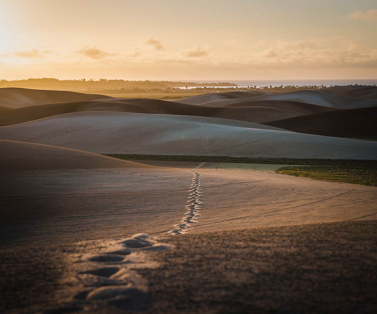 Valentine's Gift バレンタインギフト