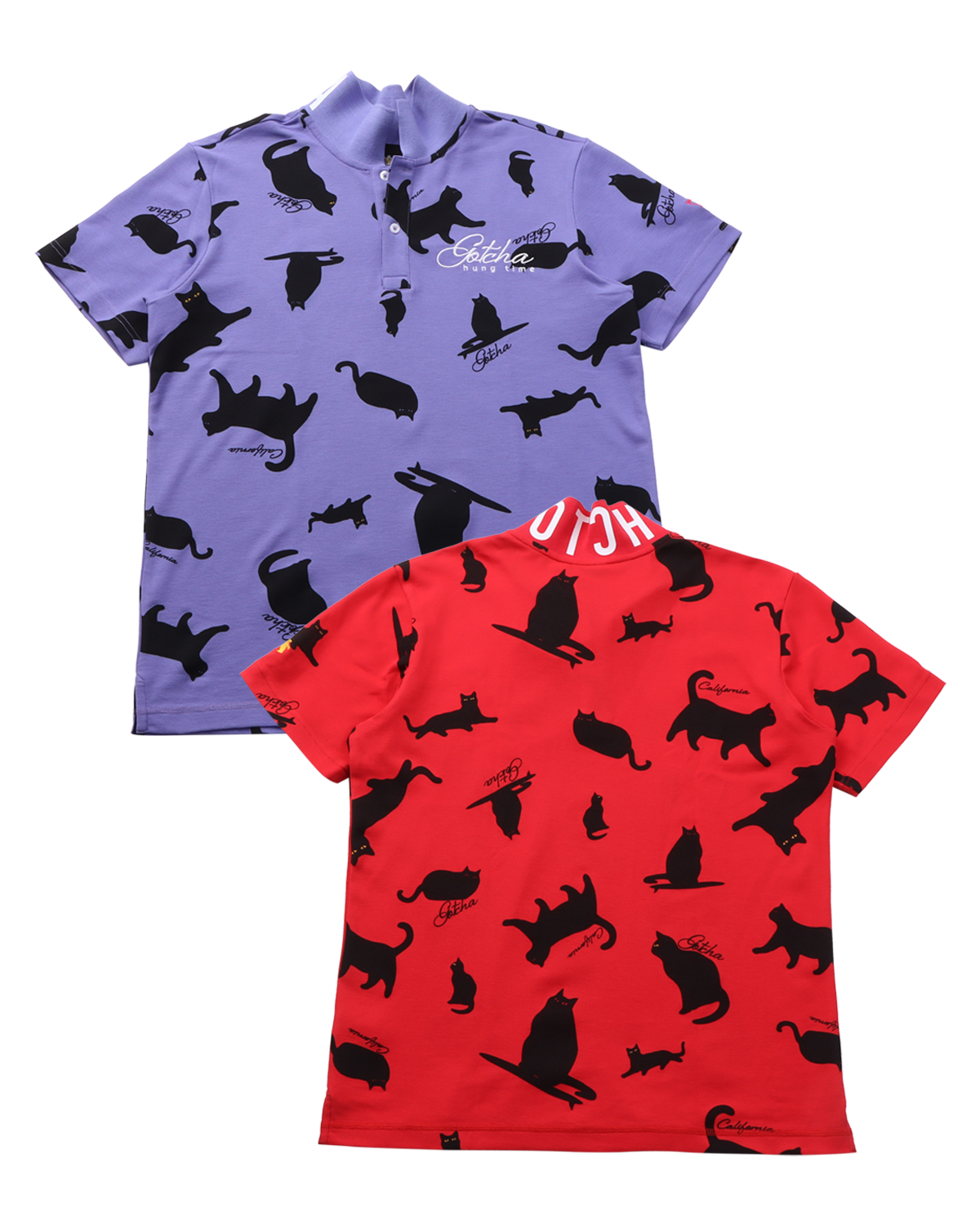 遊び心あふれるキャットポロ